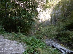 image092
